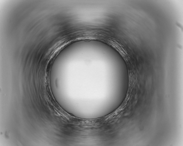 X0000094450338200711081052