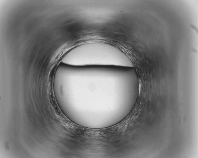 X0000094450339200711081052