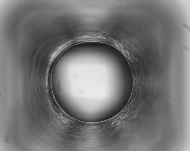 X0000094450340200711081052