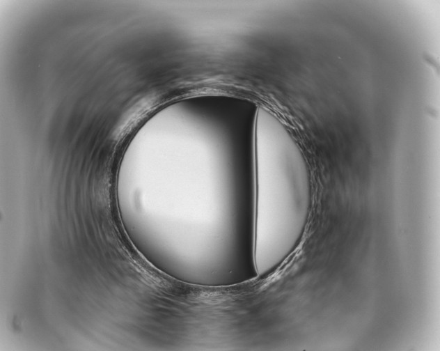 X0000094450341200711081052