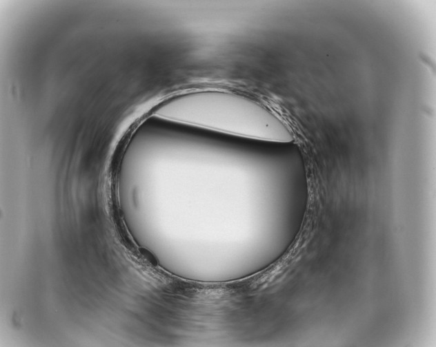 X0000094450342200711081052