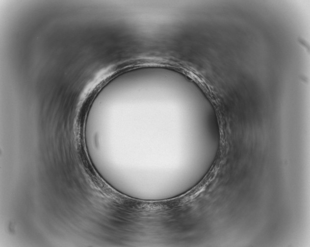 X0000094450343200711081052