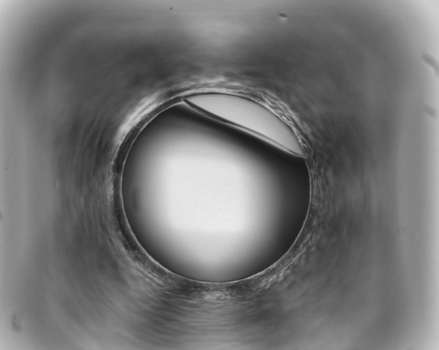 X0000094450344200711081052