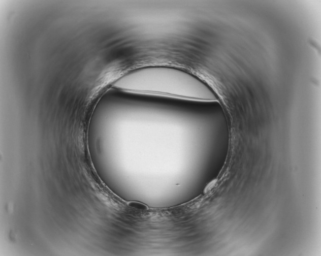X0000094450345200711081052