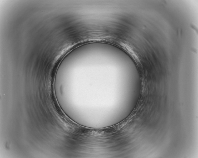 X0000094450346200711081052