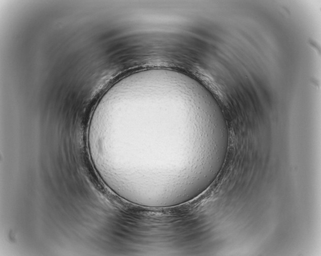 X0000094450347200711081052