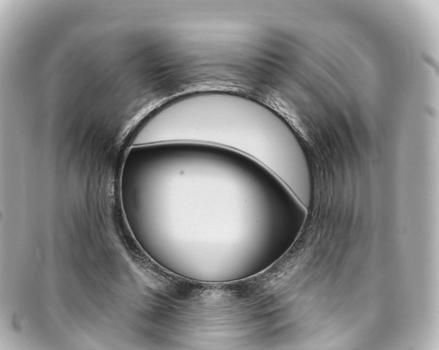 X0000094450348200711081052