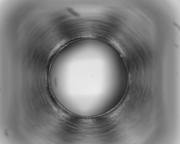X0000094450349200711081052