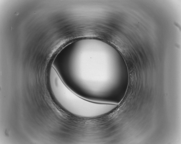 X0000094450350200711081052
