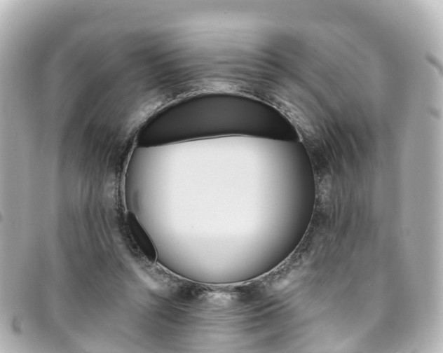 X0000094450352200711081052