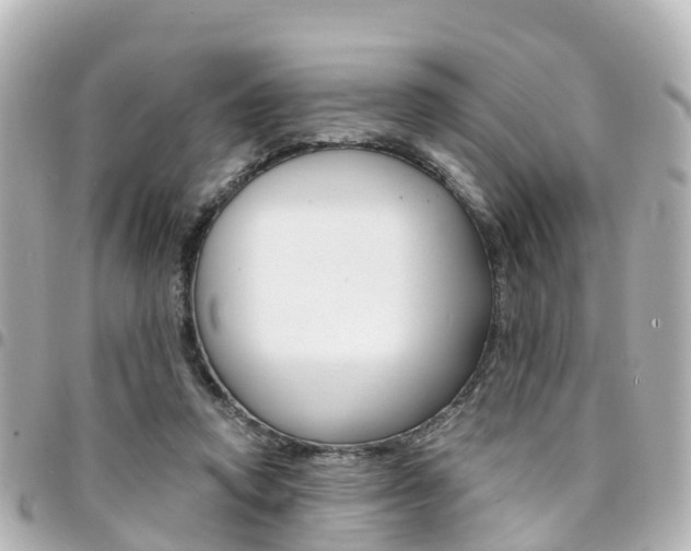 X0000094450354200711081052