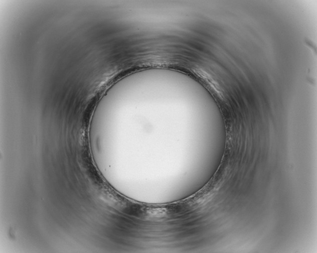 X0000094450355200711081052