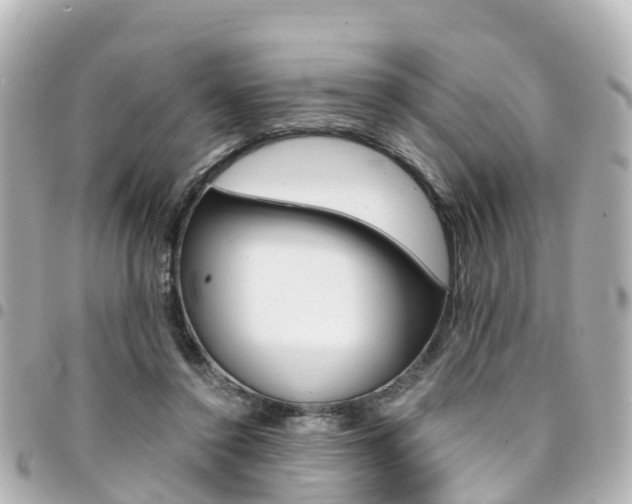 X0000094450356200711081052