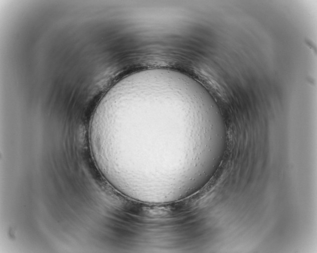 X0000094450359200711081052