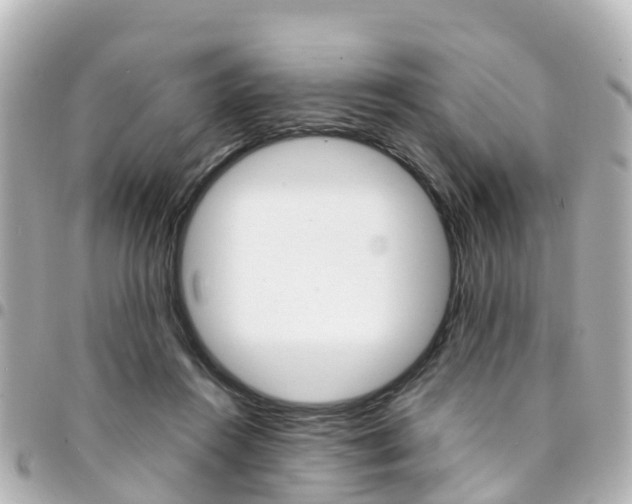 X0000094450360200711081052