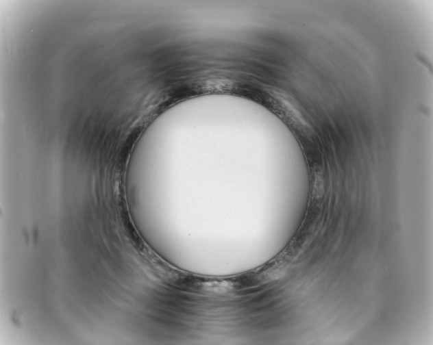 X0000094450363200711081052
