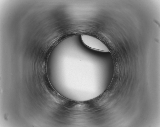 X0000094450364200711081052