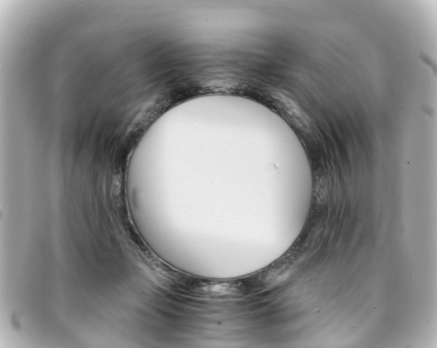X0000094450365200711081052
