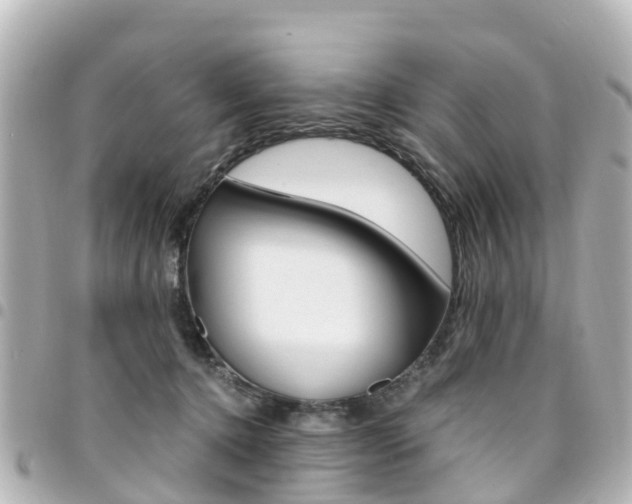 X0000094450368200711081053