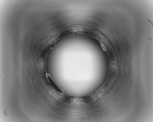 X0000094450372200711081053