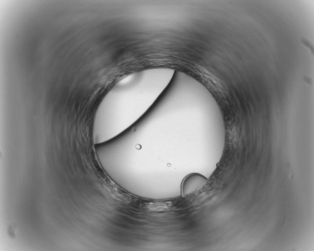 X0000094450373200711081053