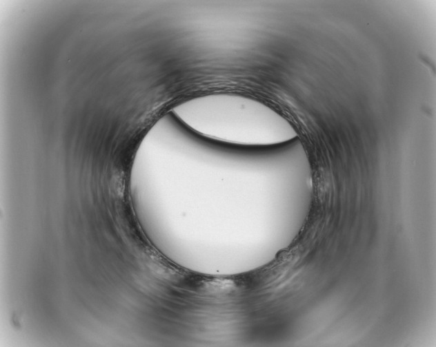 X0000094450374200711081053