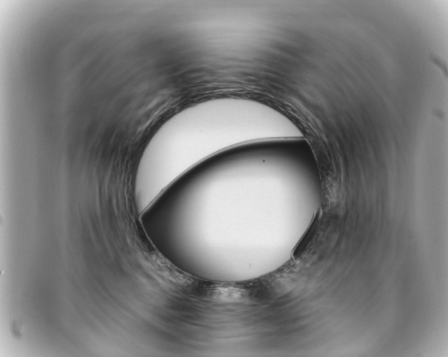 X0000094450376200711081053