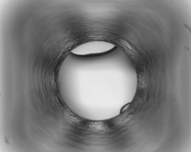 X0000094450377200711081053