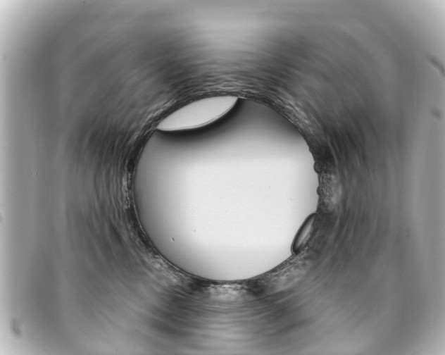 X0000094450378200711081053