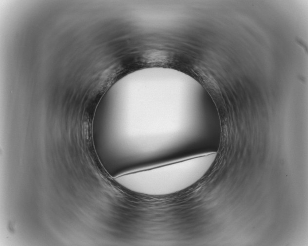 X0000094450379200711081053