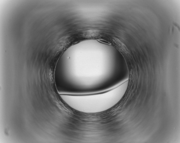 X0000094450380200711081053