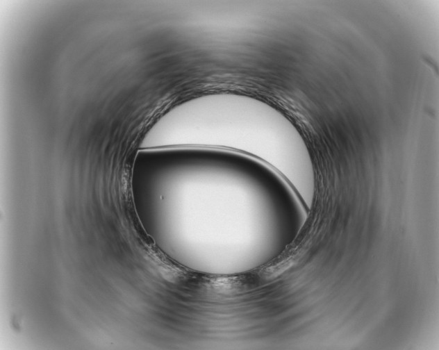 X0000094450382200711081053