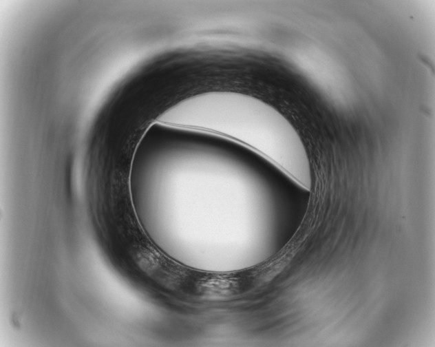 X0000094450383200711081053