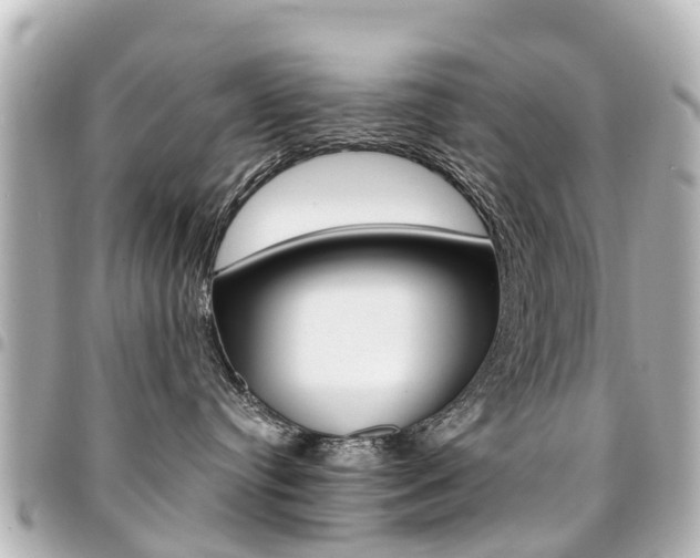 X0000094450384200711081053