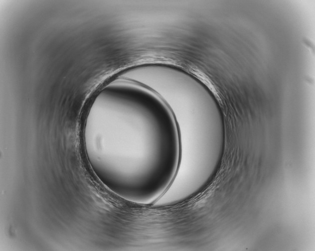 X0000094450387200711081052