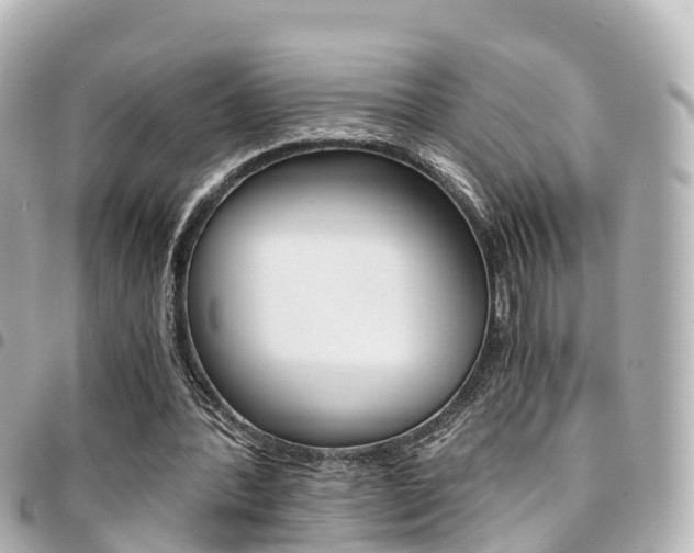 X0000094450388200711081052