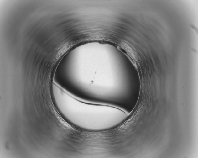 X0000094450389200711081052