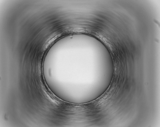 X0000094450390200711081052