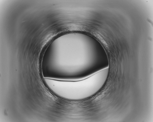 X0000094450391200711081052