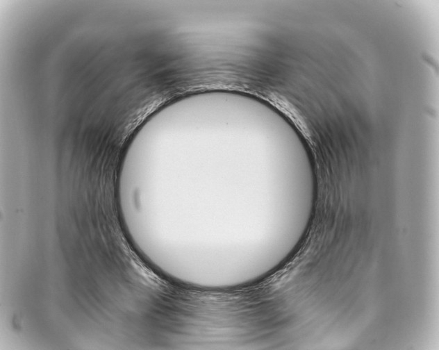 X0000094450393200711081052