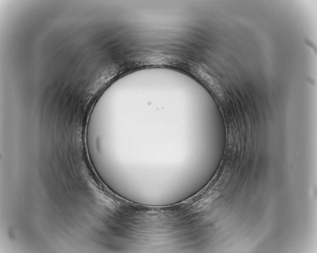 X0000094450394200711081052