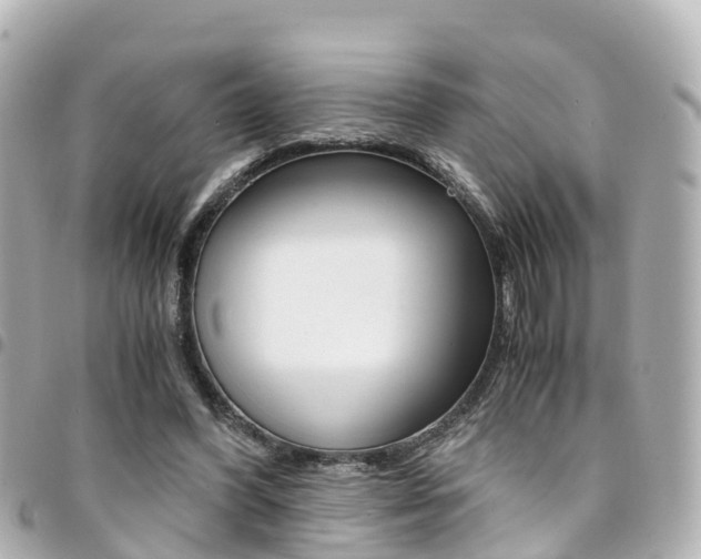 X0000094450396200711081052