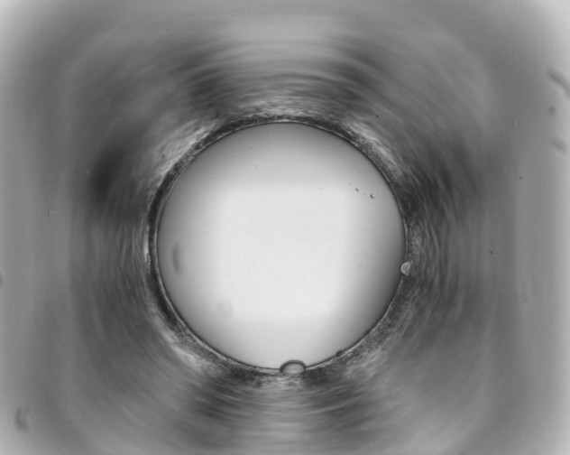 X0000094450398200711081052