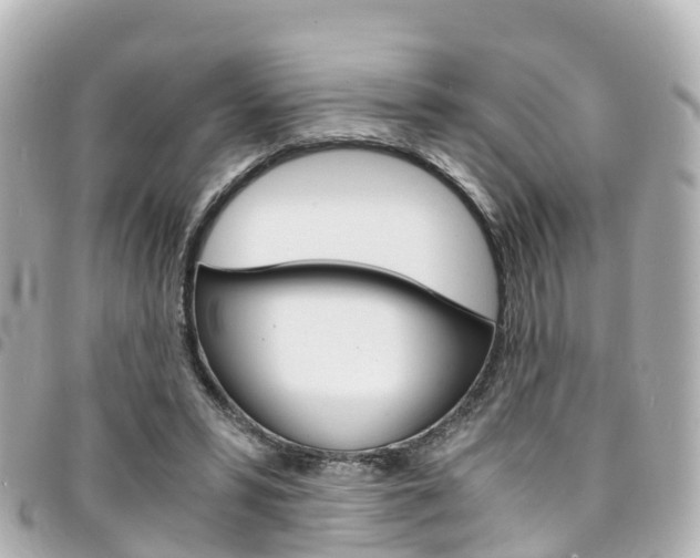 X0000094450399200711081052