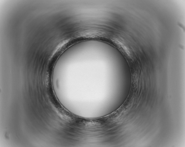X0000094450400200711081052