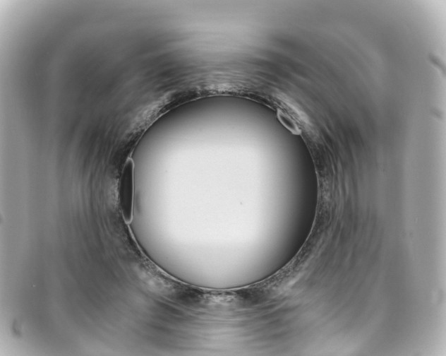 X0000094450401200711081052