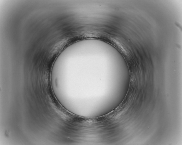 X0000094450402200711081052