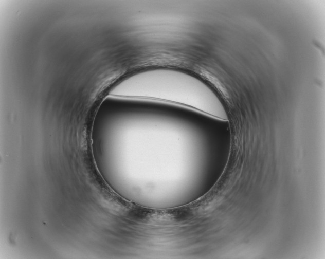 X0000094450403200711081052