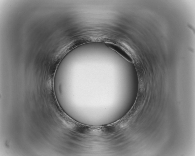 X0000094450405200711081052