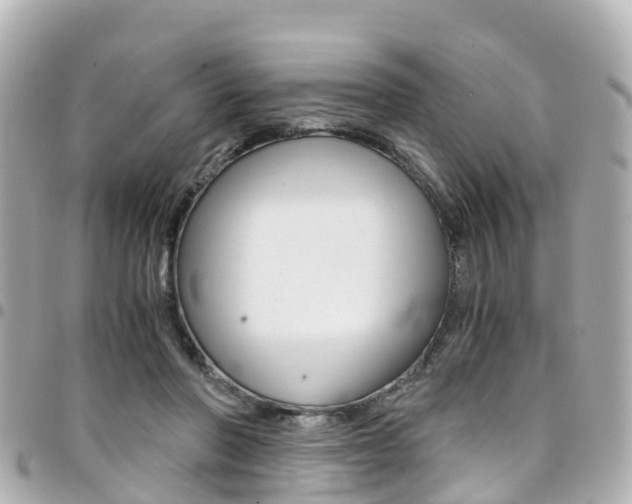 X0000094450406200711081052